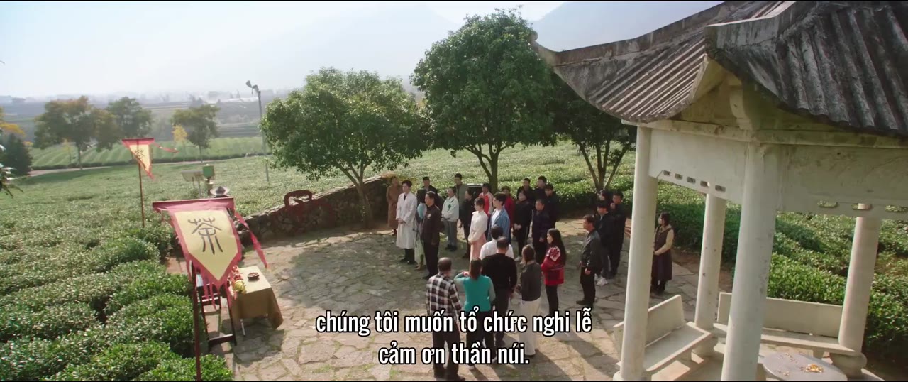 Đồi Trà Tình Yêu tập 13 cảnh 2