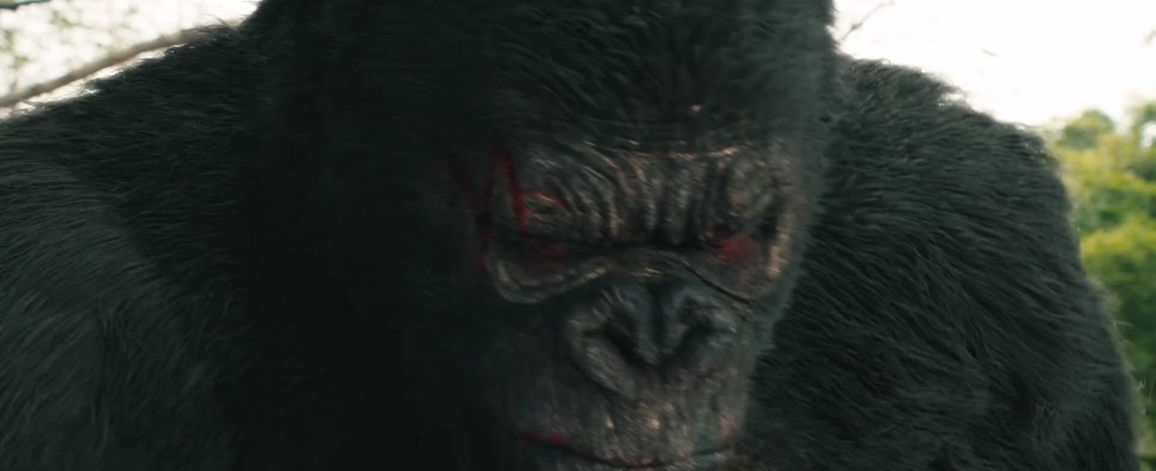 King Kong Trở Lại tập 1 cảnh 2