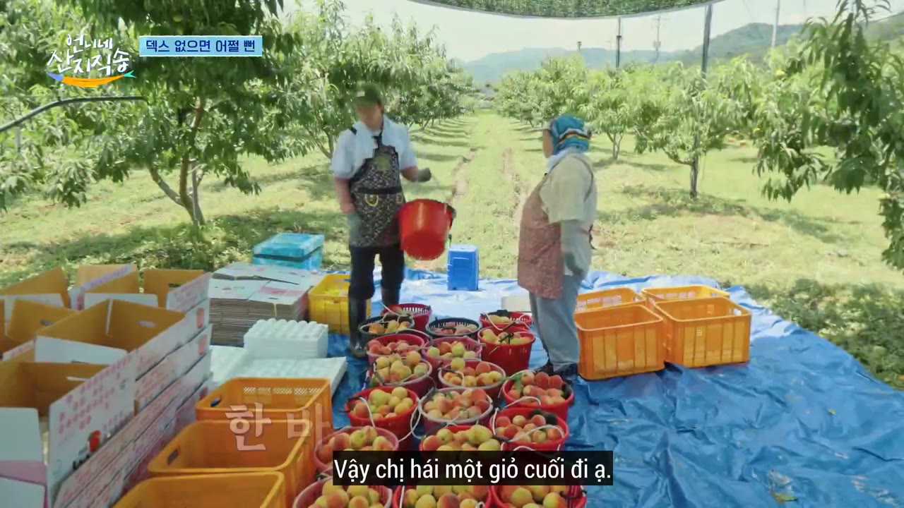 Hương Vị Của Biển (Phần 2) tập 7 cảnh 3