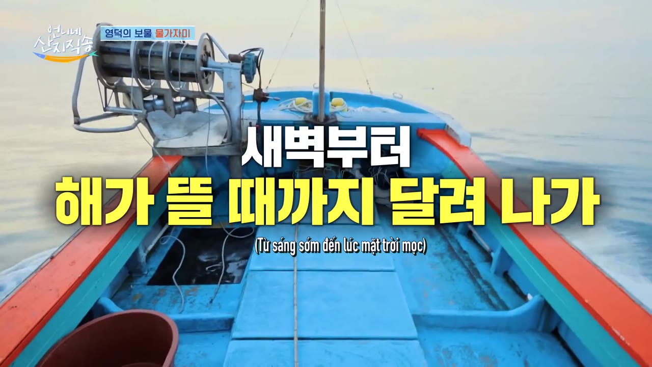Hương Vị Của Biển (Phần 2) tập 9
