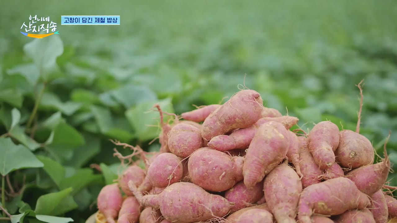Hương Vị Của Biển (Phần 2) tập 17