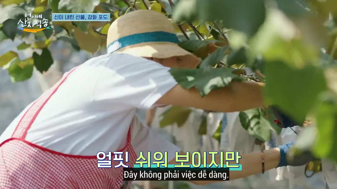 Hương Vị Của Biển (Phần 2) tập 23