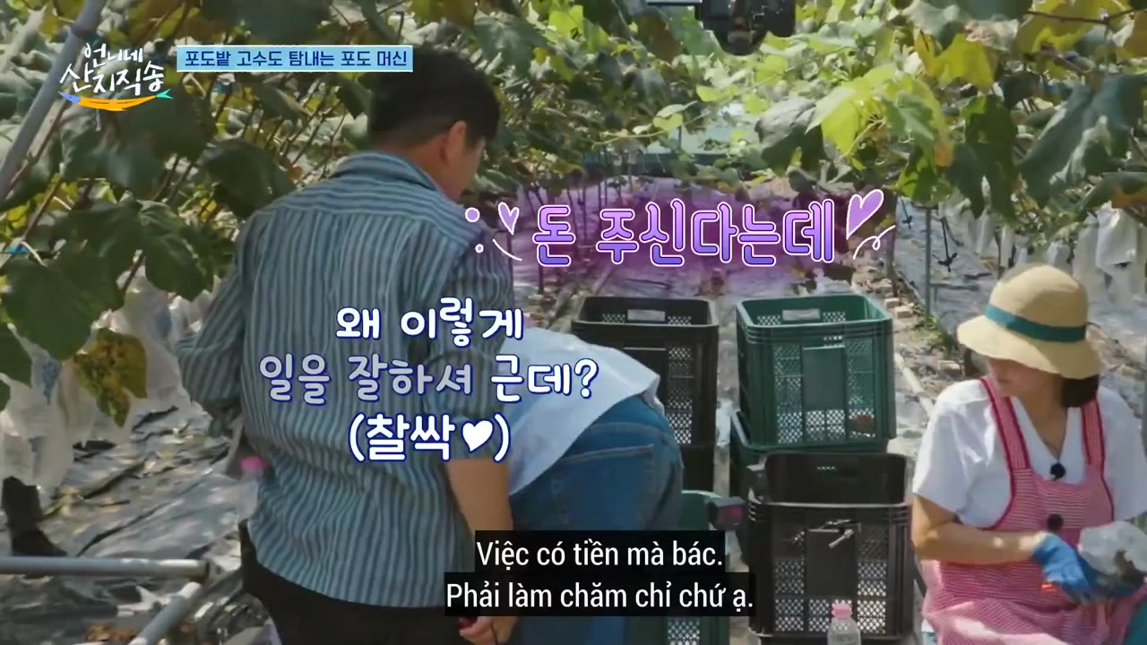 Hương Vị Của Biển (Phần 2) tập 23 cảnh 2