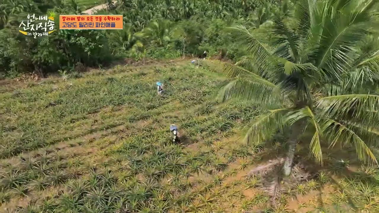 Hương Vị Của Biển (Phần 2) tập 3 cảnh 3