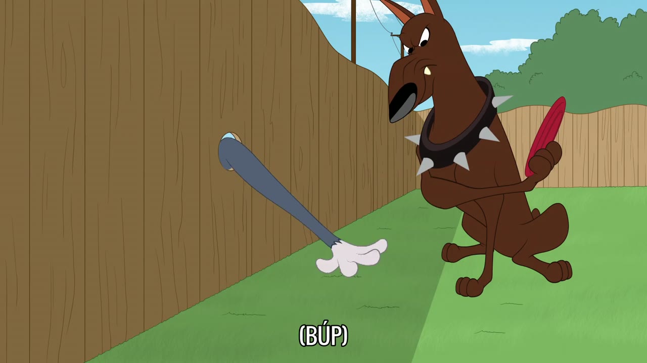 The Tom and Jerry Show (Phần 2) tập 14