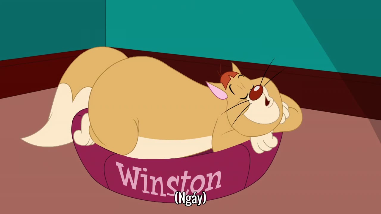 The Tom and Jerry Show (Phần 2) tập 36 cảnh 3