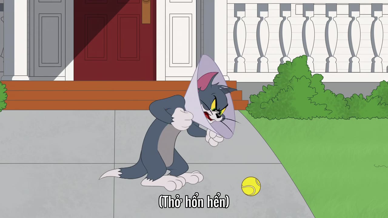 The Tom and Jerry Show (Phần 2) tập 62 cảnh 3
