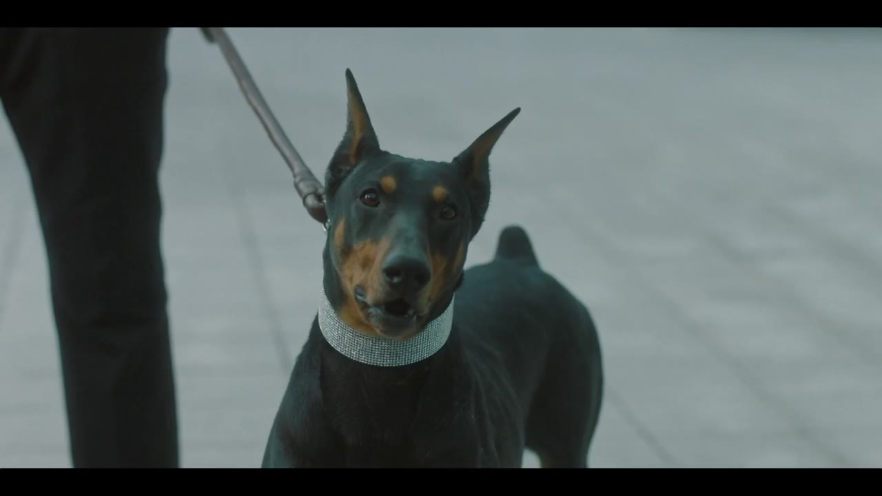 Công Tố Viên Quân Sự Doberman tập 6 cảnh 3