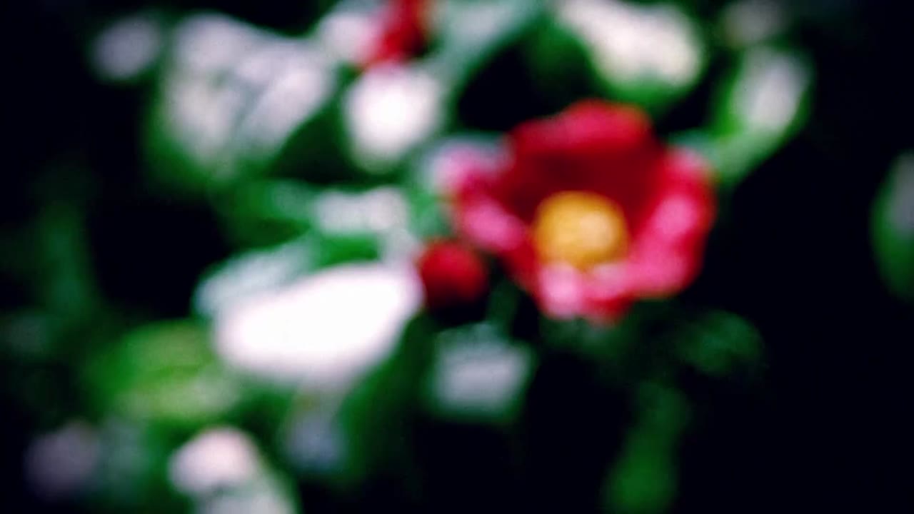 Chúng ta mất trí rồi tập 1
