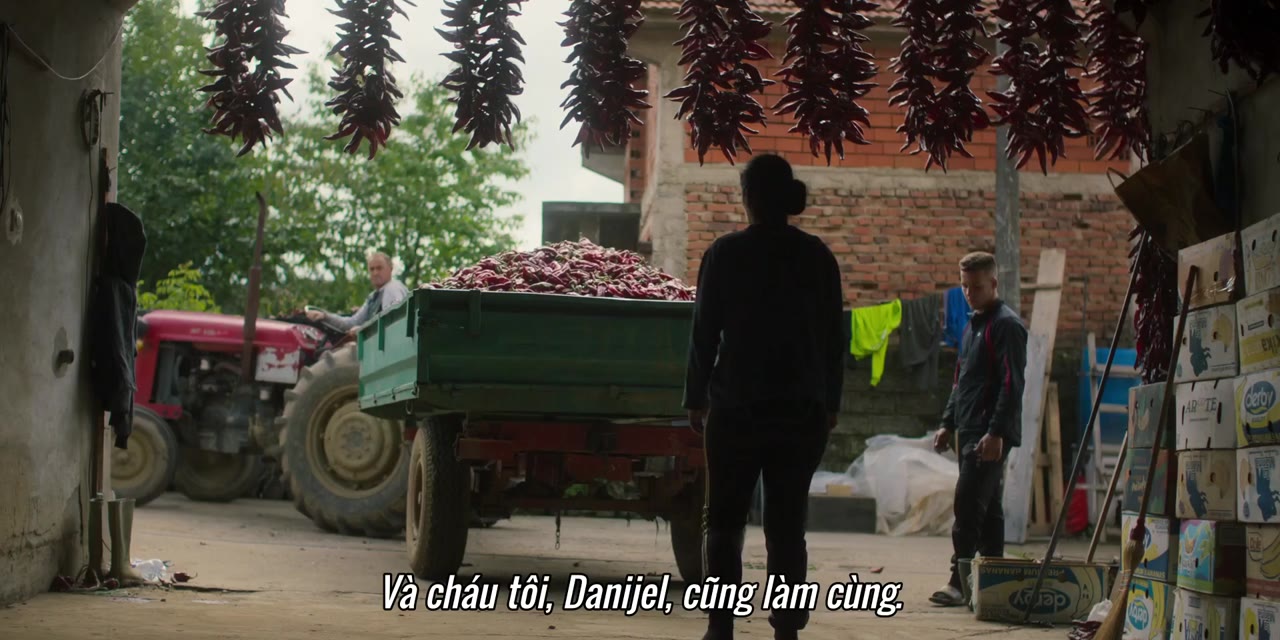 Động Vật Ăn Tạp - Omnivore tập 1