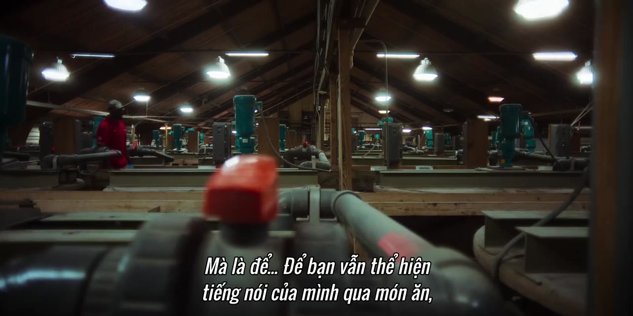 Động Vật Ăn Tạp - Omnivore tập 1 cảnh 2