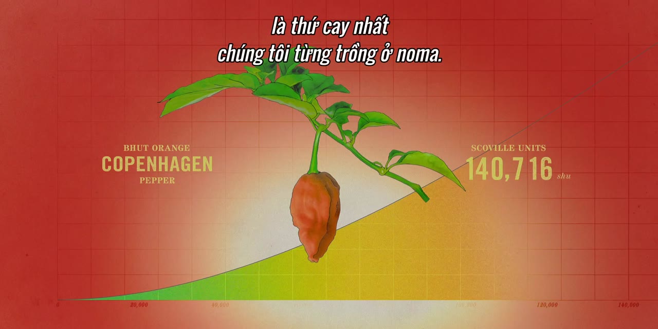 Động Vật Ăn Tạp - Omnivore tập 1 cảnh 3