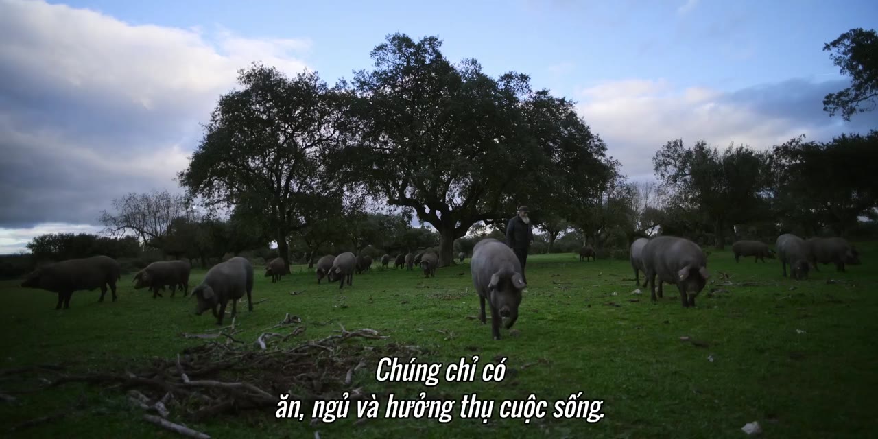 Động Vật Ăn Tạp - Omnivore tập 5 cảnh 2