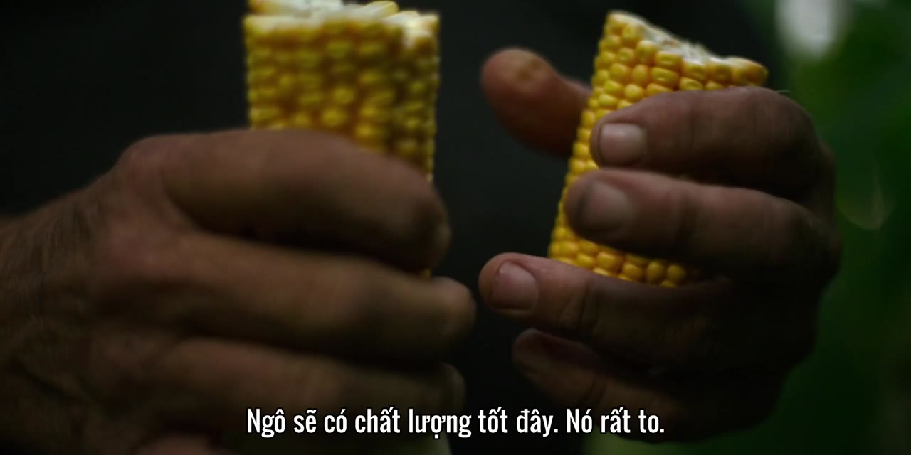 Động Vật Ăn Tạp - Omnivore tập 8