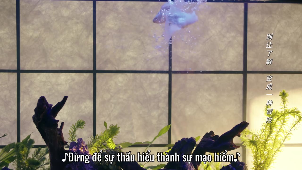 Em Đẹp Hơn Ánh Sao tập 36 cảnh 2