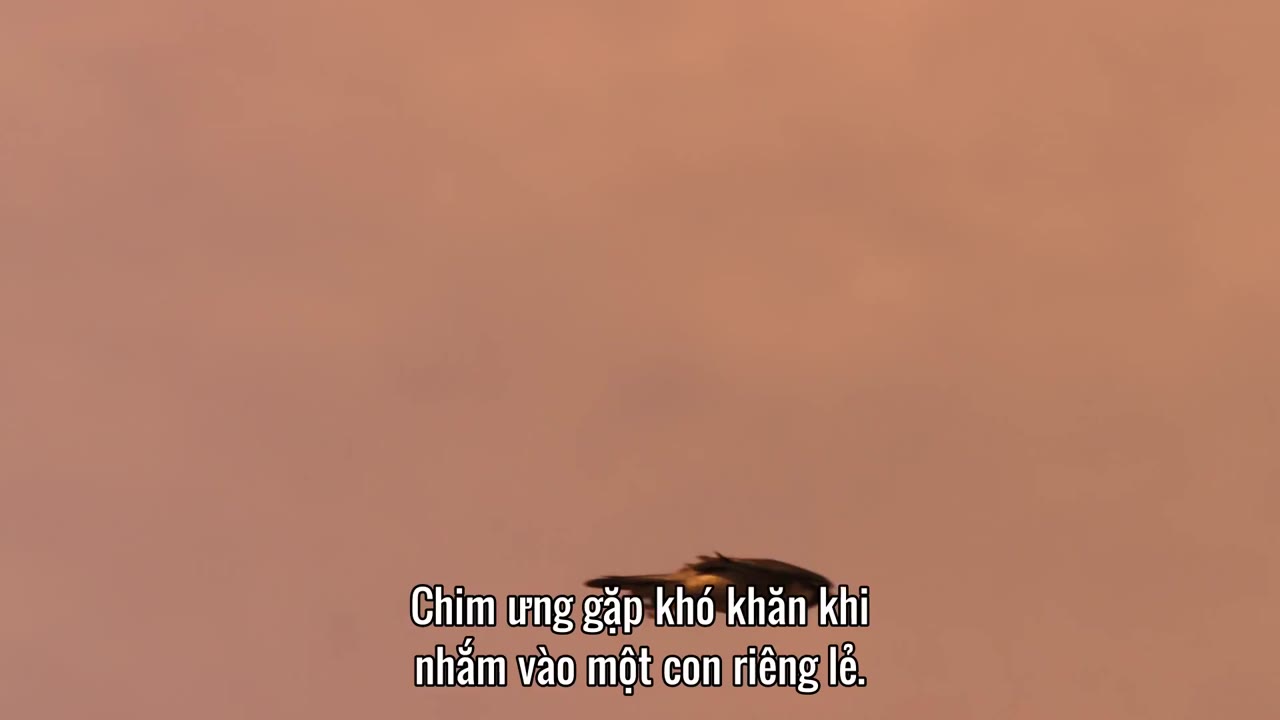 Super/Natural tập 3 cảnh 2