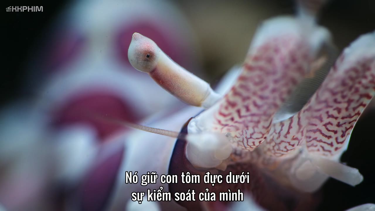 Super/Natural tập 5 cảnh 3