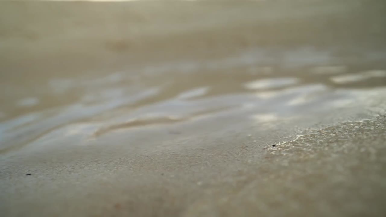 Super/Natural tập 6