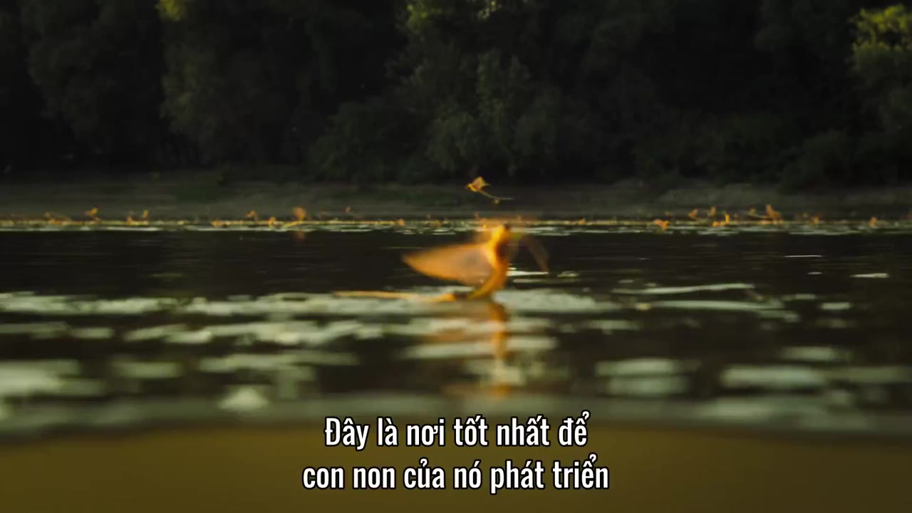 Super/Natural tập 6 cảnh 3
