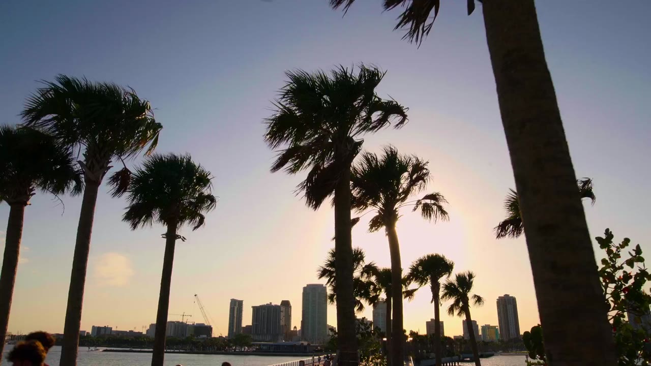 Môi giới Tampa tập 1 cảnh 2