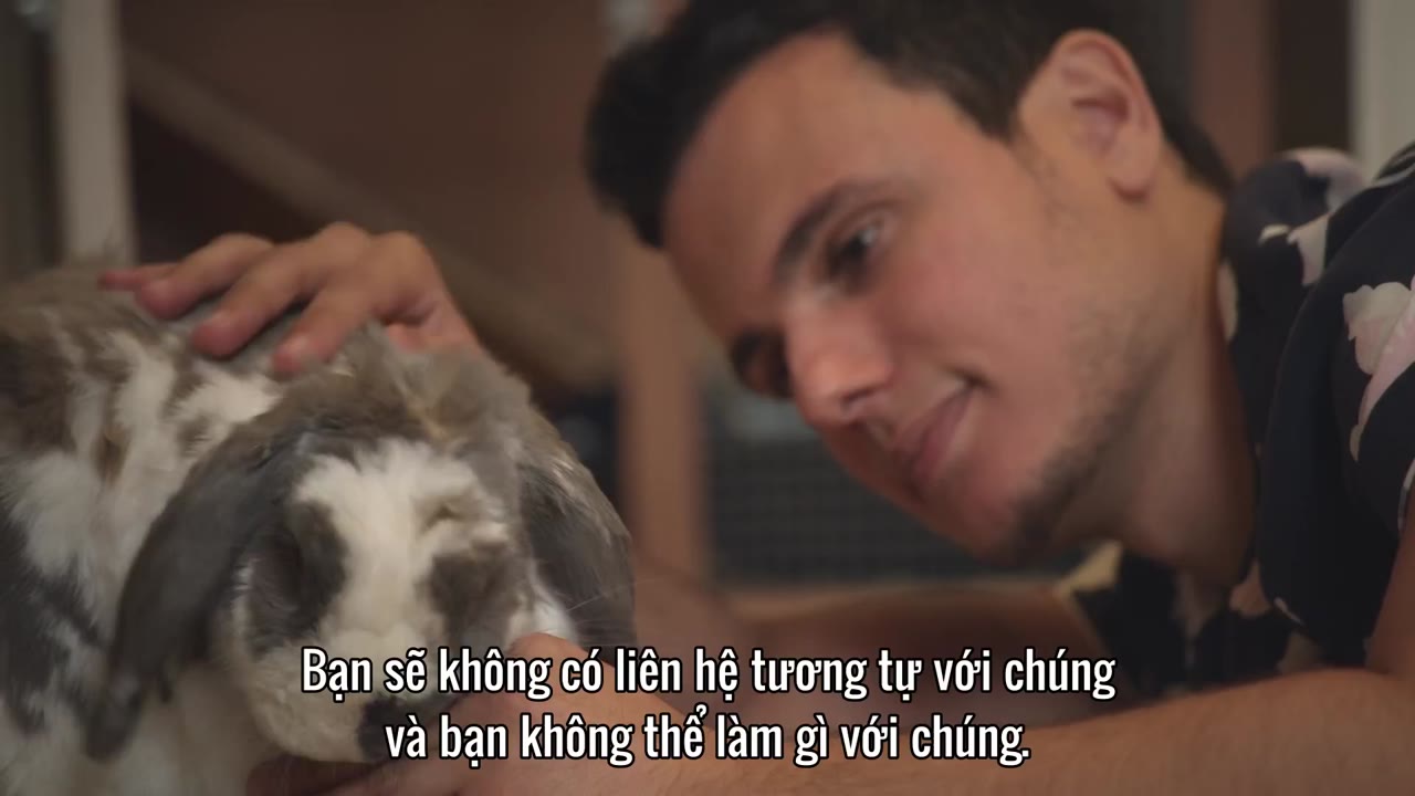 The Secret Life of Our Pets tập 1 cảnh 2