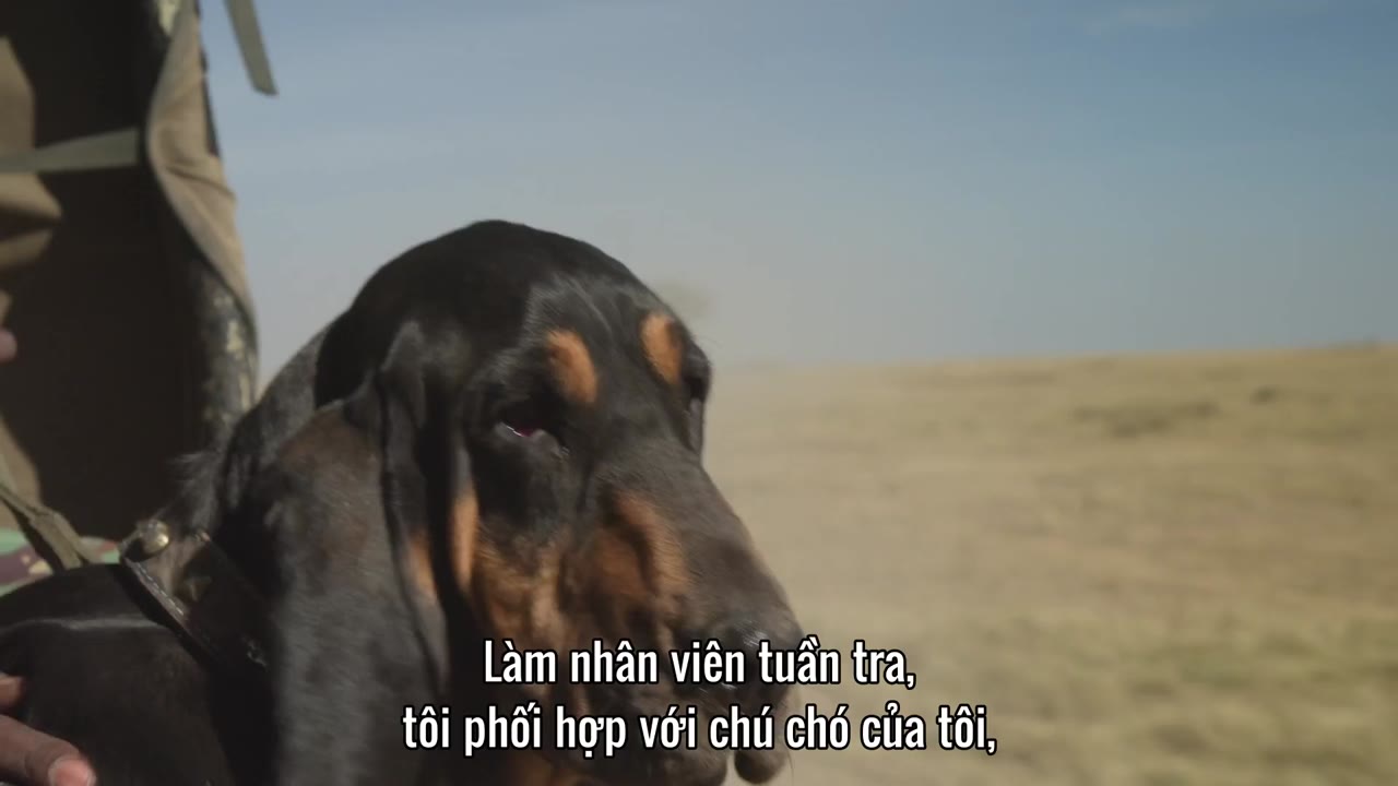 The Secret Life of Our Pets tập 2 cảnh 3