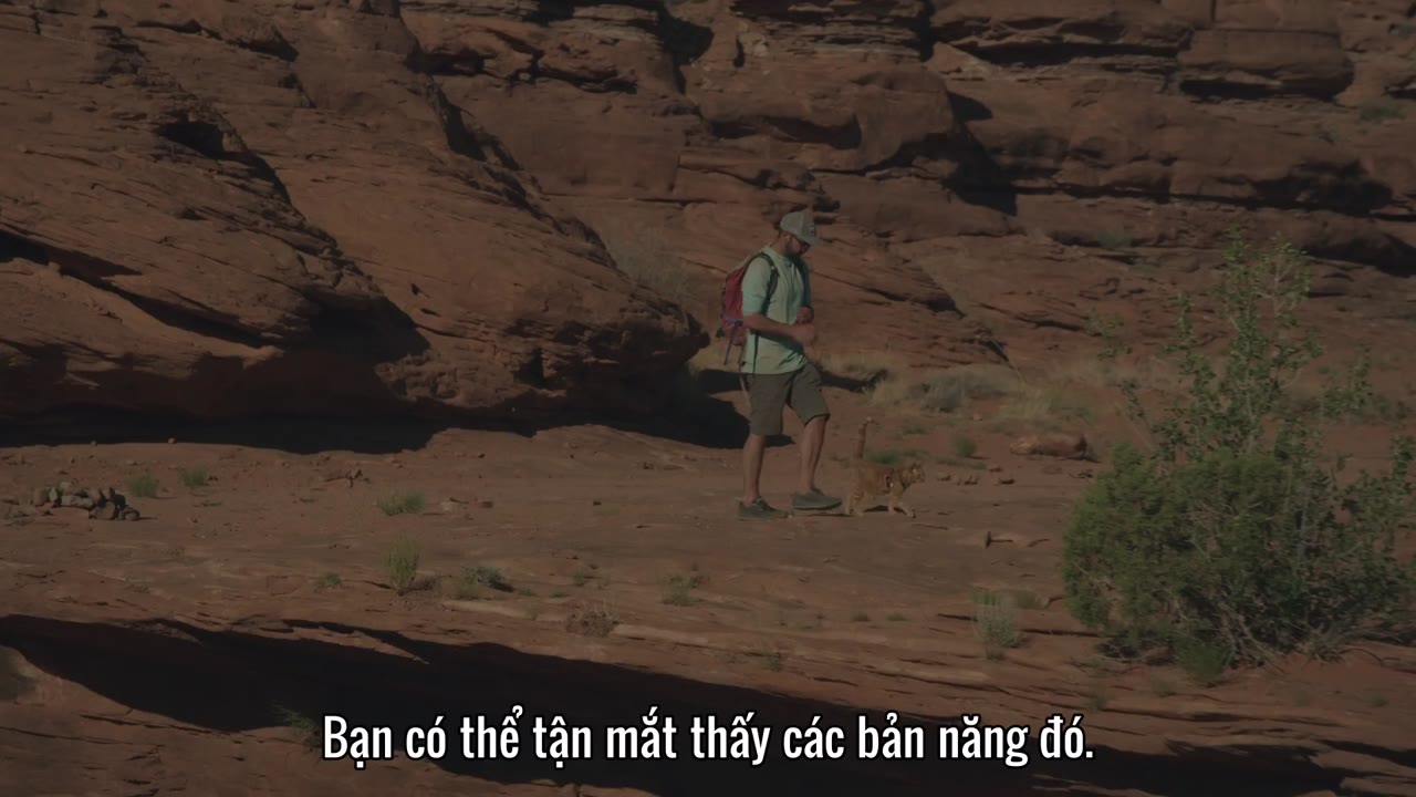 The Secret Life of Our Pets tập 3