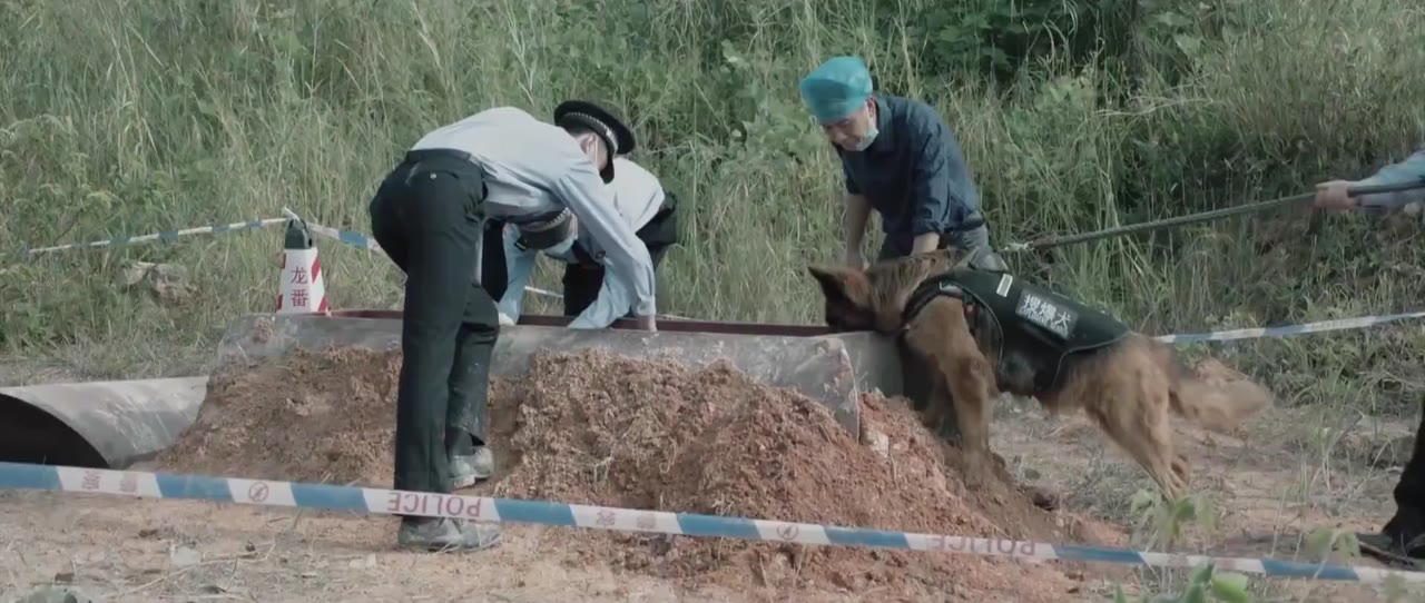 Pháp Y Tần Minh: Bằng Chứng Câm Lặng tập 24 cảnh 2