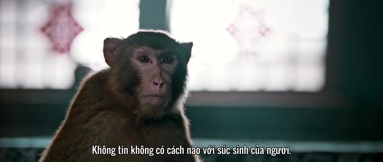 Truyền Thuyết Kho Báu Nhân Gian tập 1
