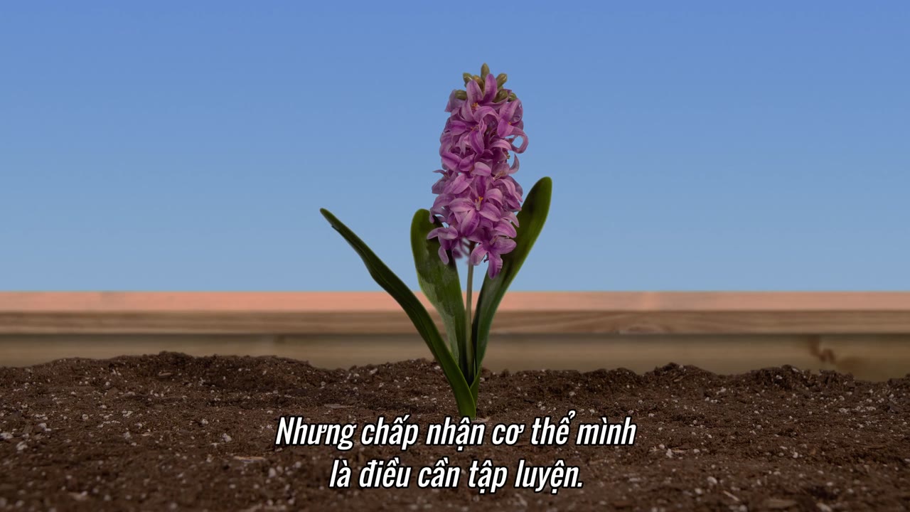 Nguyên tắc của khoái lạc tập 2 cảnh 3