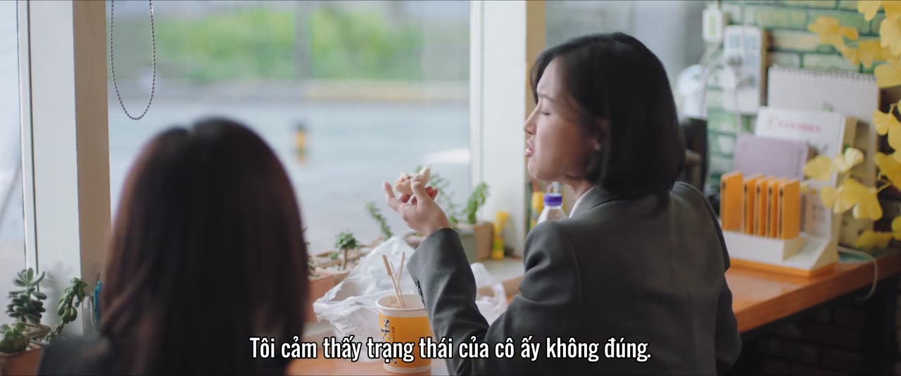 Thục Niên tập 20