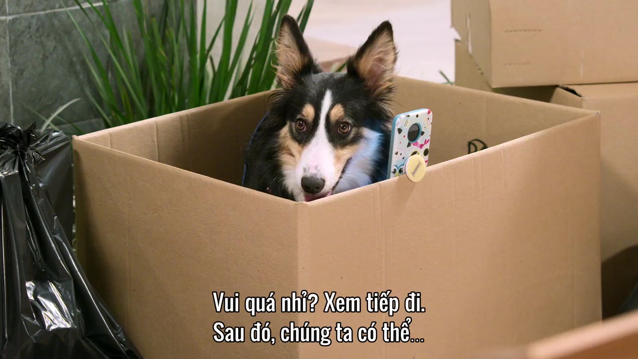 Mẹ Chồng Táo Tợn tập 9 cảnh 3