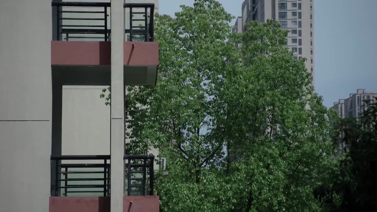 Nếu Bôn Ba Là Định Mệnh Của Tôi tập 1