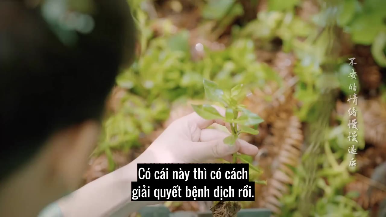 Làm Ơn Đừng Sủng Tôi (Phần 3) tập 2 cảnh 2