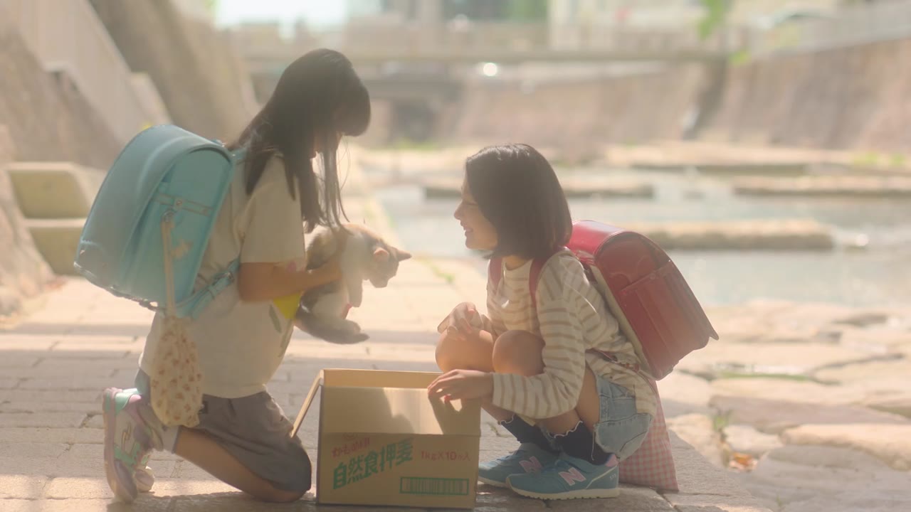 Sáu Tháng Và Một Năm tập 1 cảnh 2