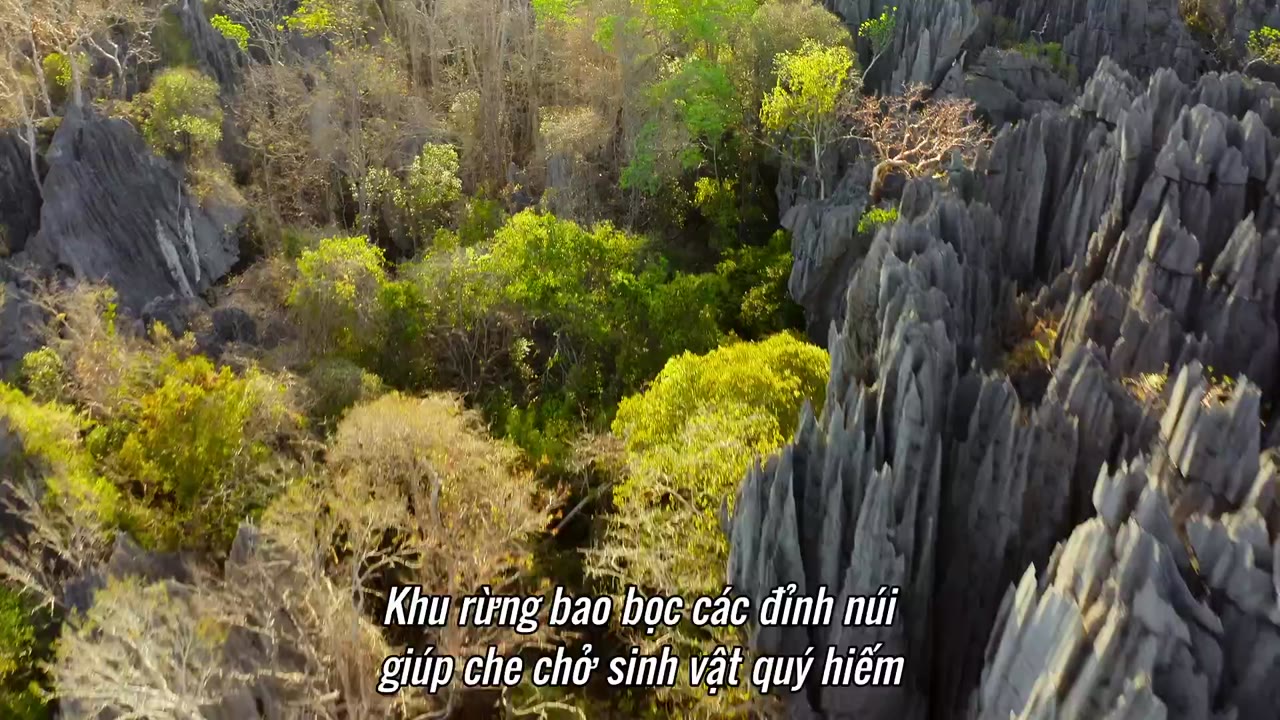 Những công viên quốc gia kỳ diệu tập 1