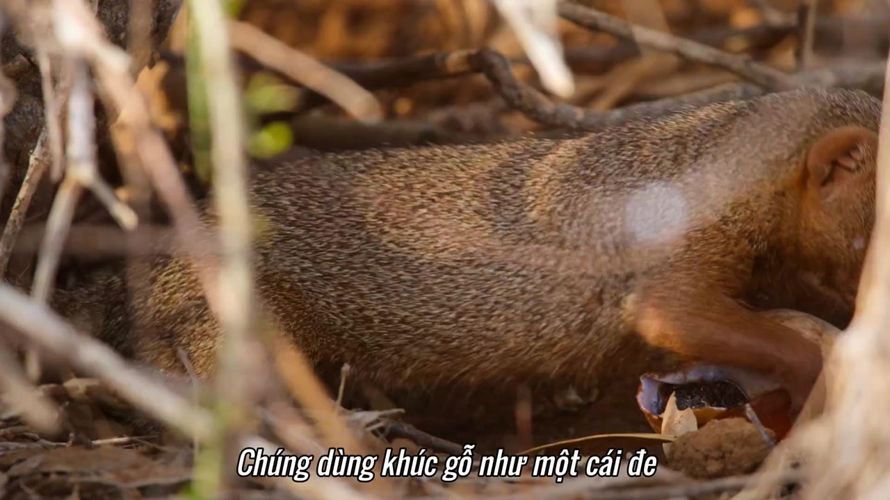 Những công viên quốc gia kỳ diệu tập 3