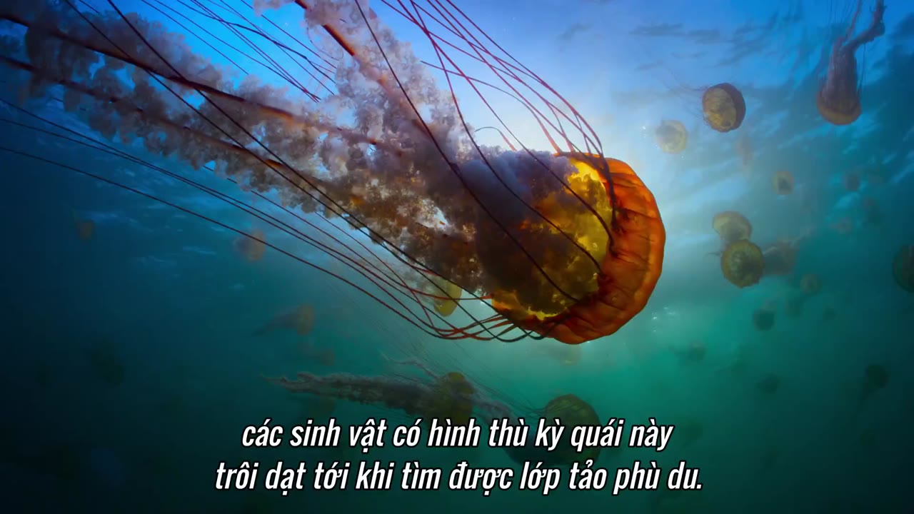 Những công viên quốc gia kỳ diệu tập 4 cảnh 3