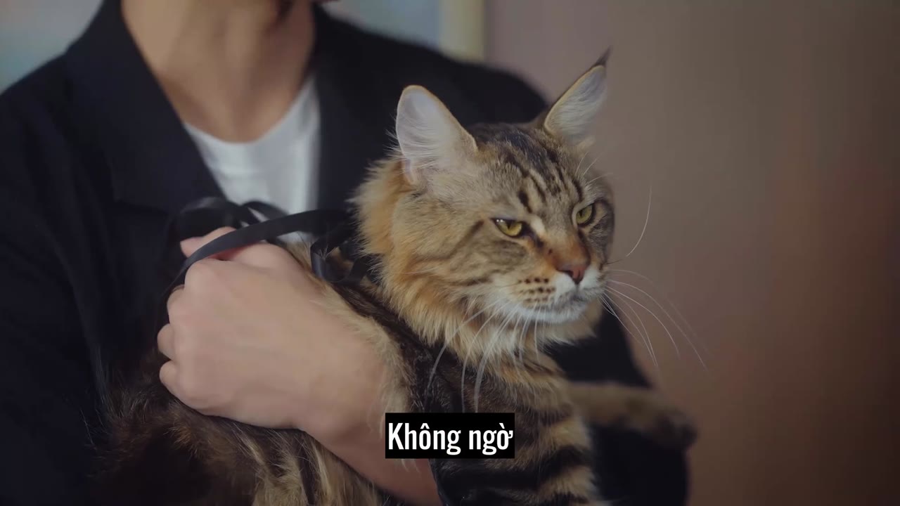 Bạn Gái Tôi Là Một Chú Mèo tập 10