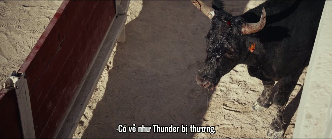 Animale tập 1