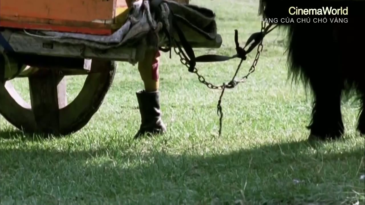 Hang Của Chú Chó Vàng tập 1 cảnh 3