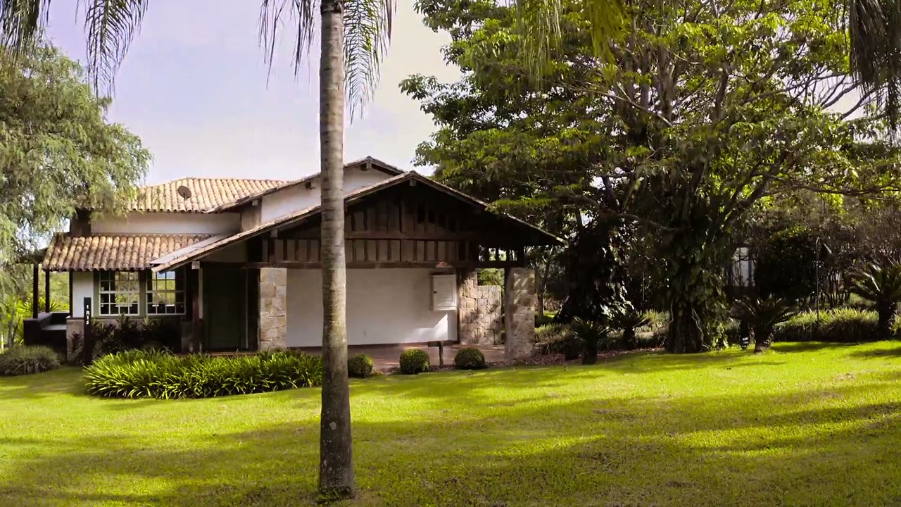Yêu là mù quáng: Brazil (Phần 2) tập 3 cảnh 3