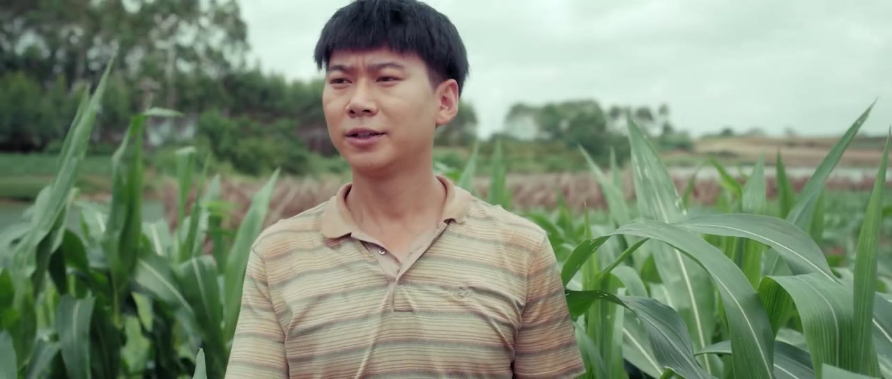 Tiểu Hòa Khanh Khanh Có Chút Ruộng tập 4 cảnh 3