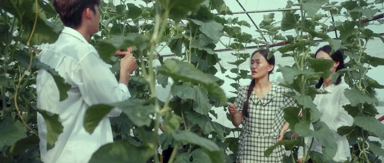 Tiểu Hòa Khanh Khanh Có Chút Ruộng tập 16 cảnh 2