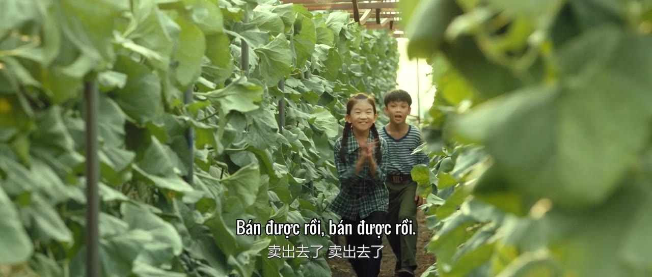 Tiểu Hòa Khanh Khanh Có Chút Ruộng tập 18 cảnh 2