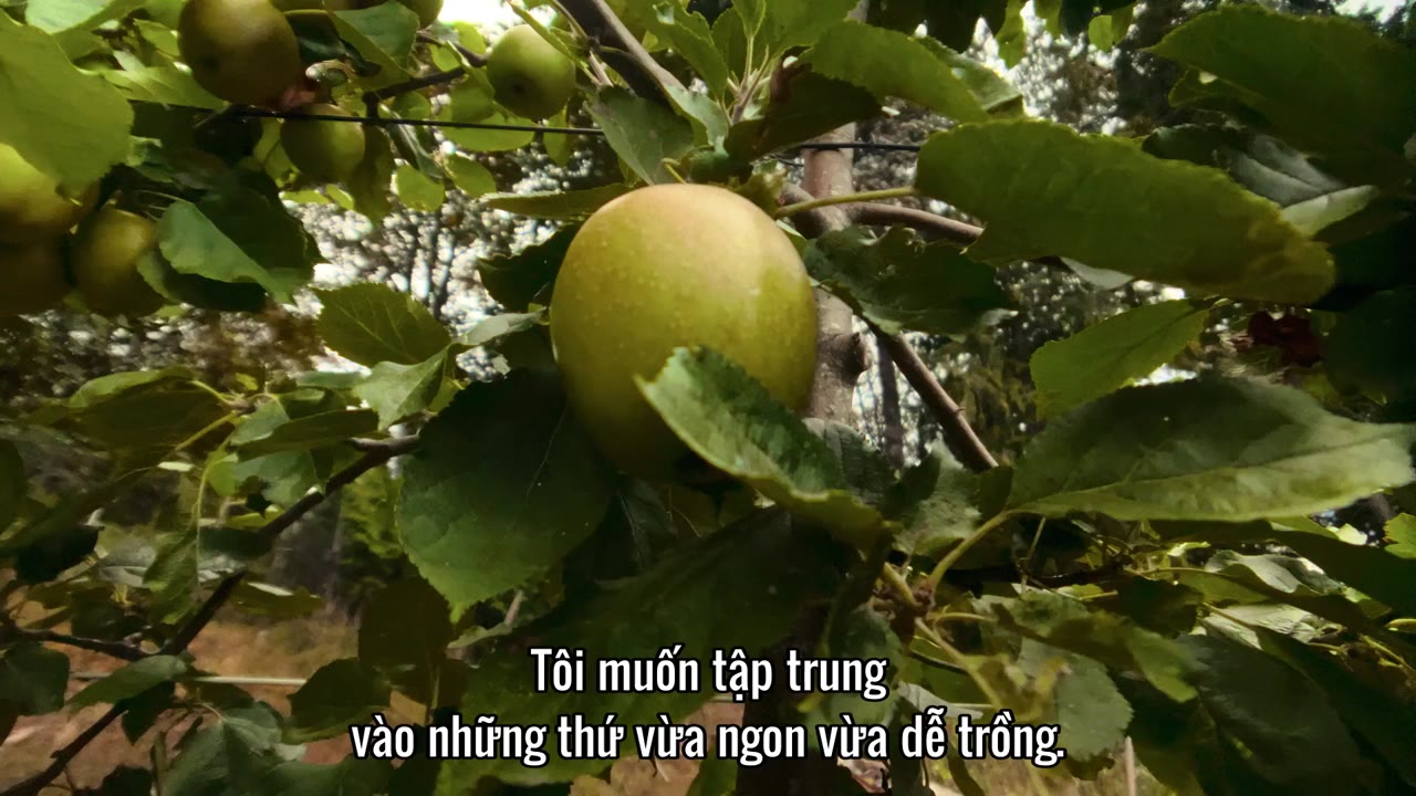 Nào ta cùng làm vườn tập 1 cảnh 2