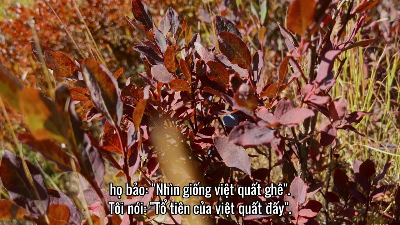 Nào ta cùng làm vườn tập 3 cảnh 2