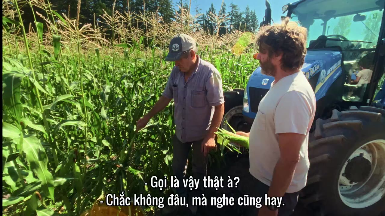 Nào ta cùng làm vườn tập 5 cảnh 2