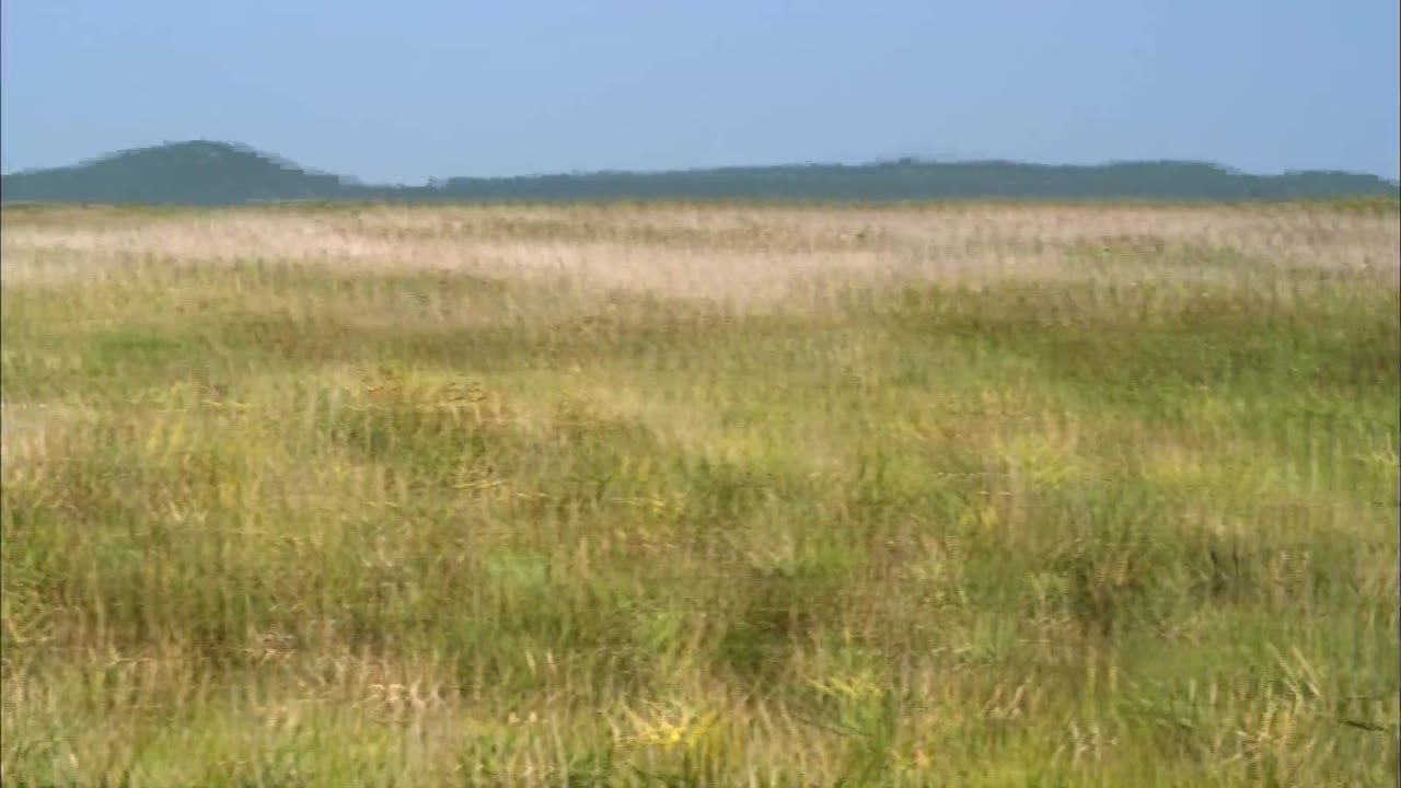 Săn Nô Lệ tập 3