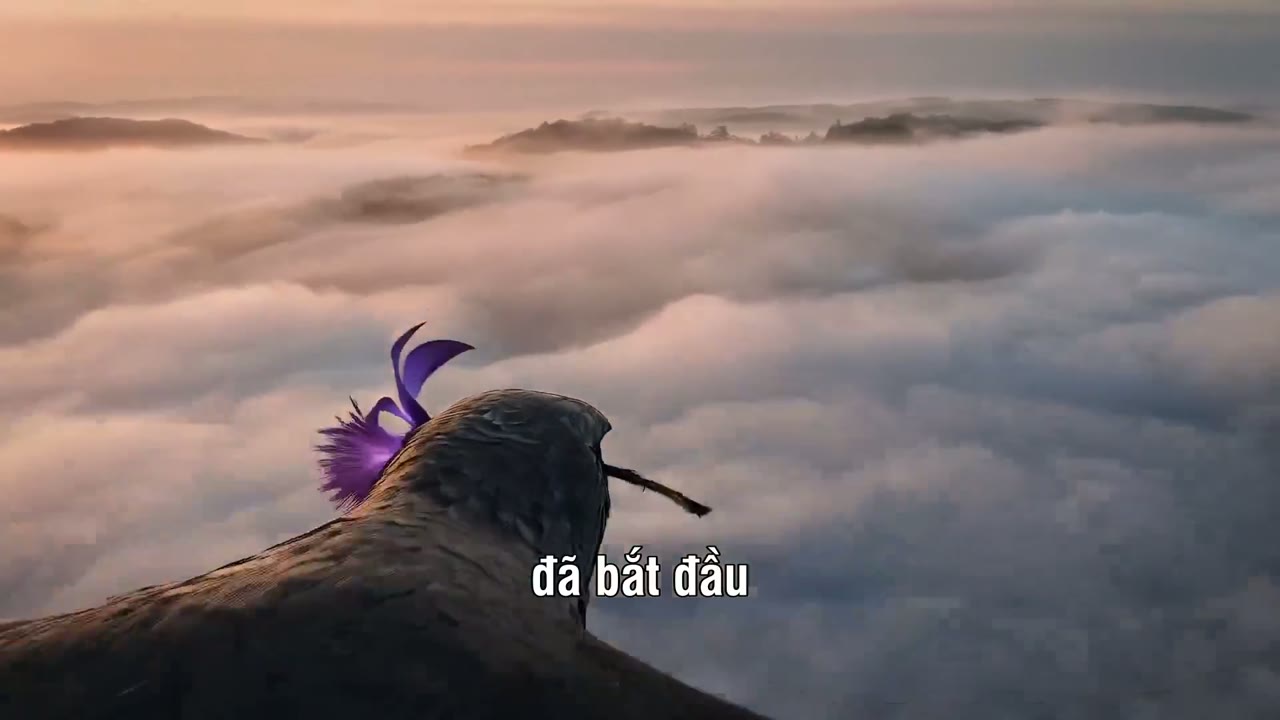 Cô Thành Chiếu: Kinh Biến tập 6